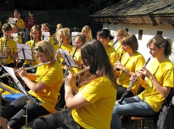 Zwiebelkuchenfest Musikverein Harmonie  2010