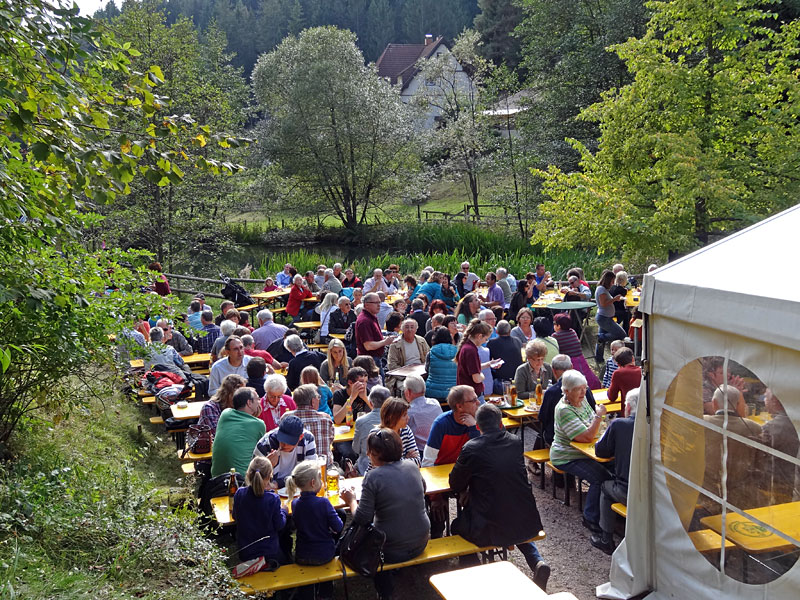 Zwiebelkuchenfest 2013